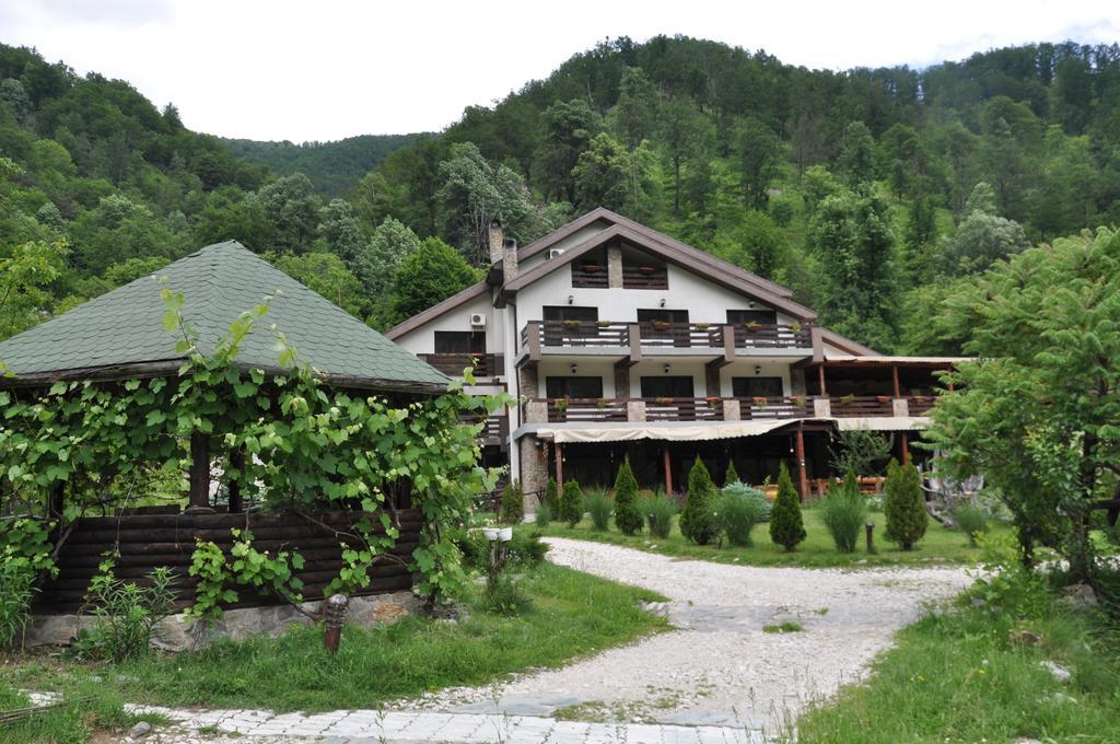 Pensiunea Valahia Brezoi Exterior foto