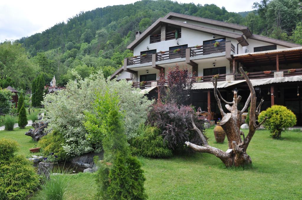 Pensiunea Valahia Brezoi Exterior foto